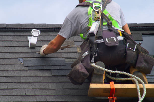 Roof Gutter Cleaning in Wheaton, MN