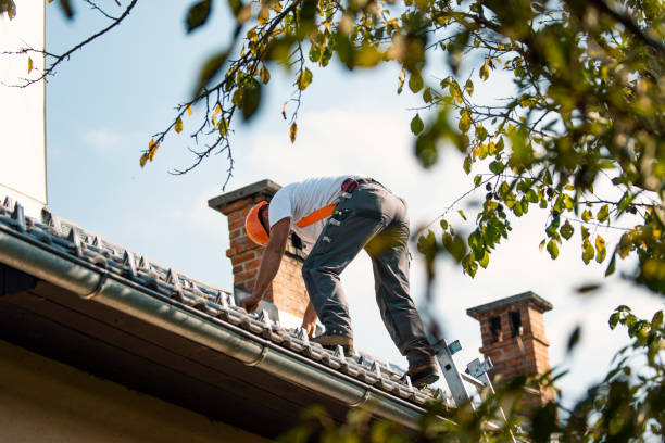 Best Flat Roof Repair Services  in Wheaton, MN