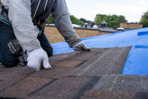 Quick and Trustworthy Emergency Roof Repair Services in Wheaton, MN