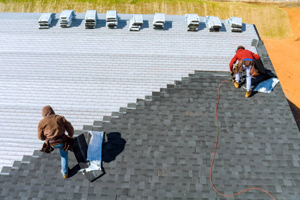 Best Roof Gutter Cleaning  in Wheaton, MN