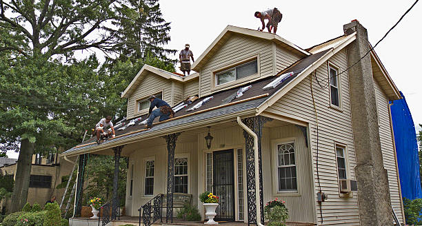 Best Roof Repair Specialists  in Wheaton, MN