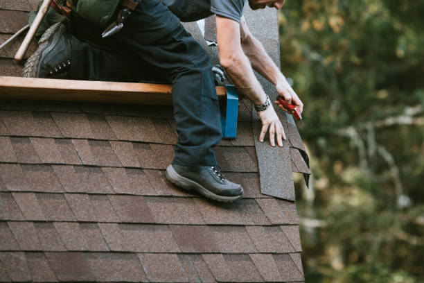 Best Roof Repair Services  in Wheaton, MN